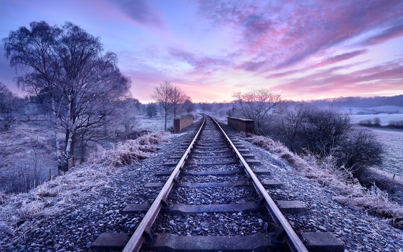Frost-covered Train Tracks — Purple