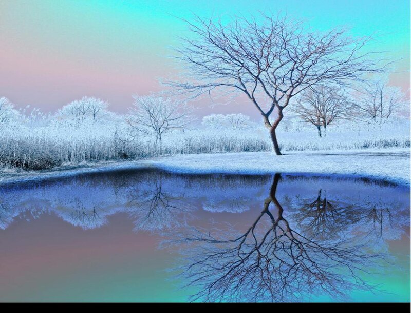 Frost-covered Tree — Blue, Serene, Winter, Digital Art, Pond