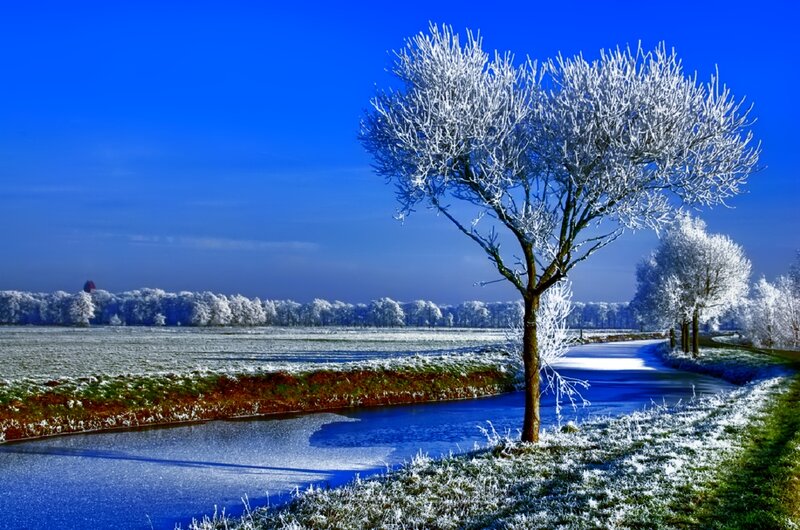 Frost-covered Tree — Blue, Serene, Winter, Photograph, River, Field