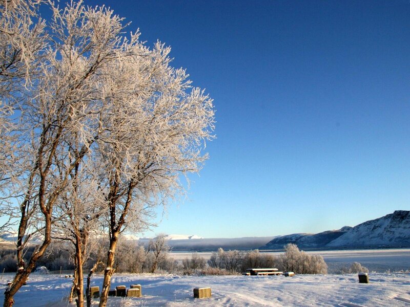 Frost-covered Tree — Blue, Serene, Winter, Photograph, Snow, Mountains