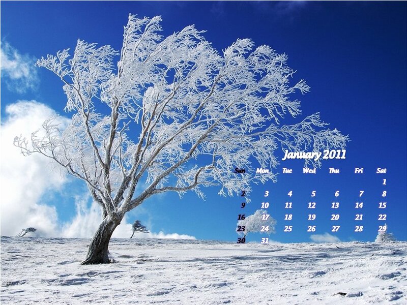 Frost-covered Tree — Blue, Serene, Winter, Photograph, Snow