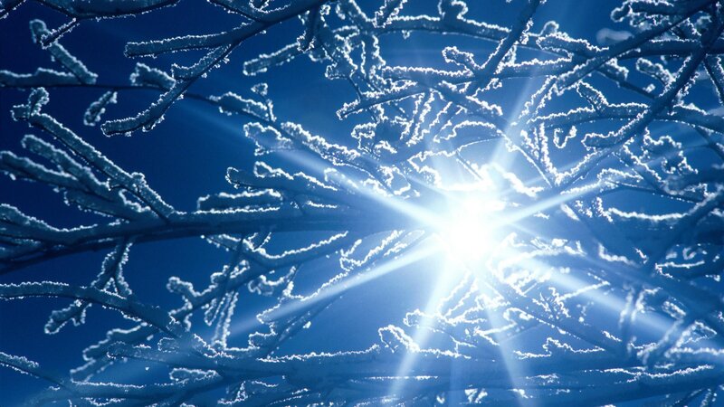 Frost-covered Tree Branches — Blue, Dramatic, Winter, Photograph, Sun, Sky