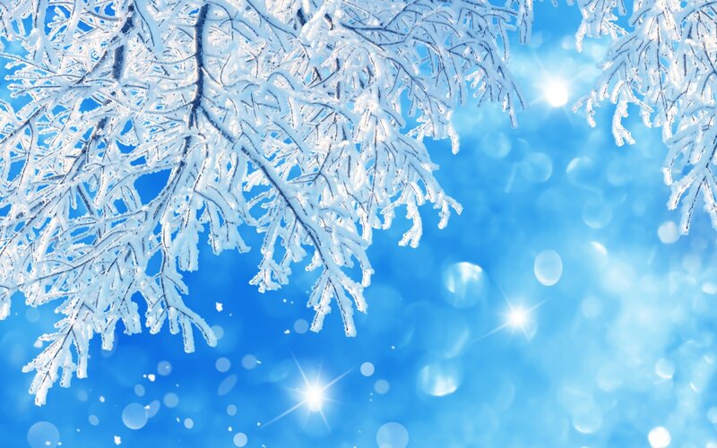 Frost-covered Tree Branches — Blue, Serene, Winter, Photograph, Sky