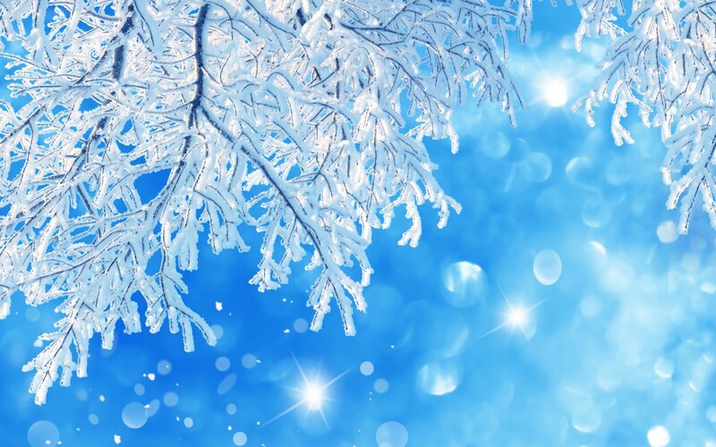 Frost-covered Tree Branches — Blue, Serene, Winter, Photograph, Snow, Sky