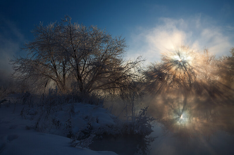 Frost-covered Tree by River — Blue, Serene