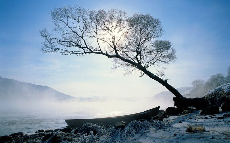 Frost-covered Tree by River — Blue, Serene, Winter, Photograph