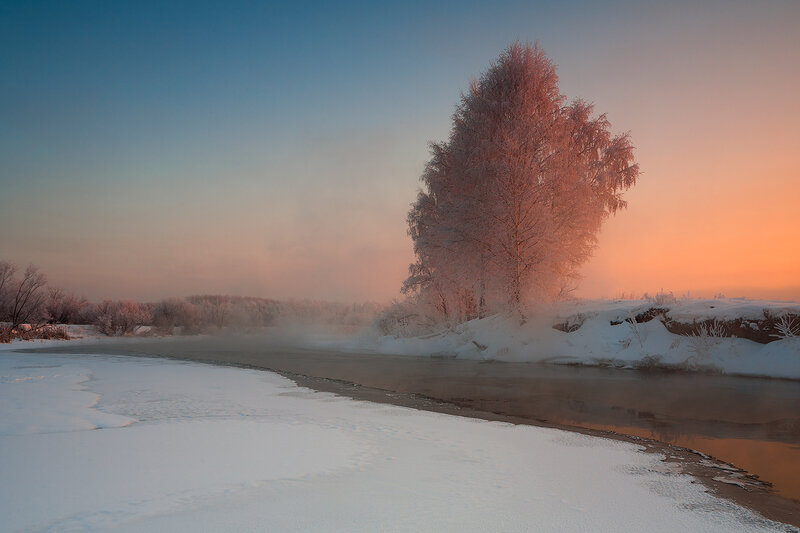 Frost-covered Tree by River — Blue, Serene, Winter