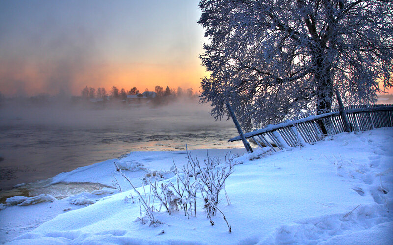 Frost-covered Tree by River — Blue