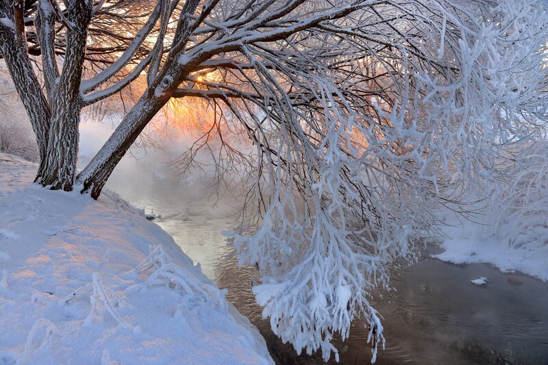 Frost-covered Tree by River — White, Serene