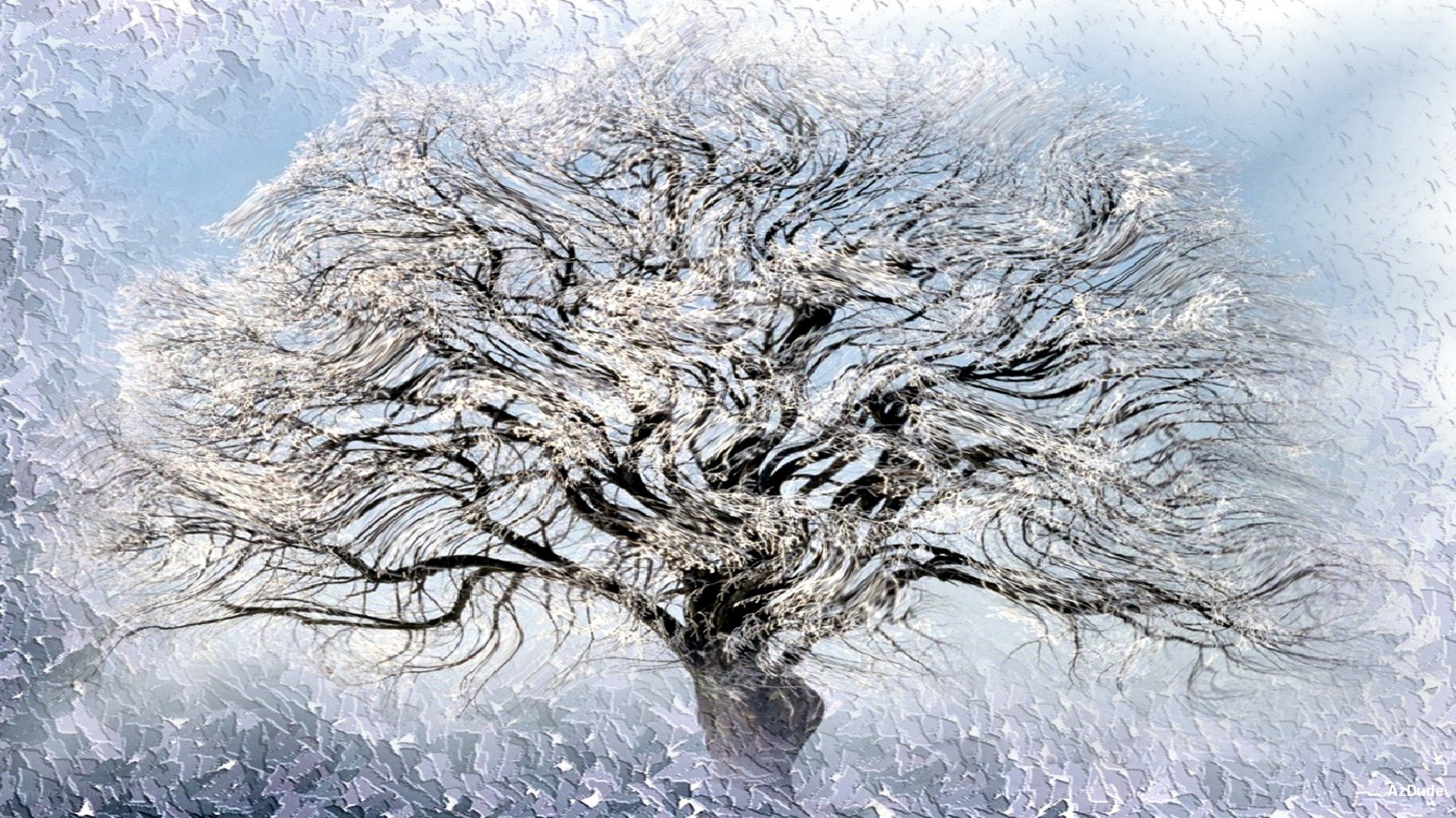 Frost-covered tree in winter