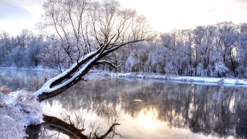 Frost-covered Tree over River