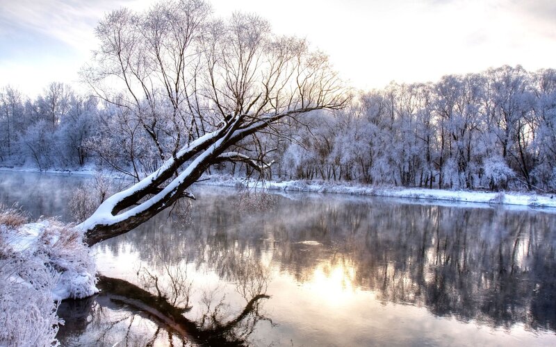 Frost-covered Tree over River — White