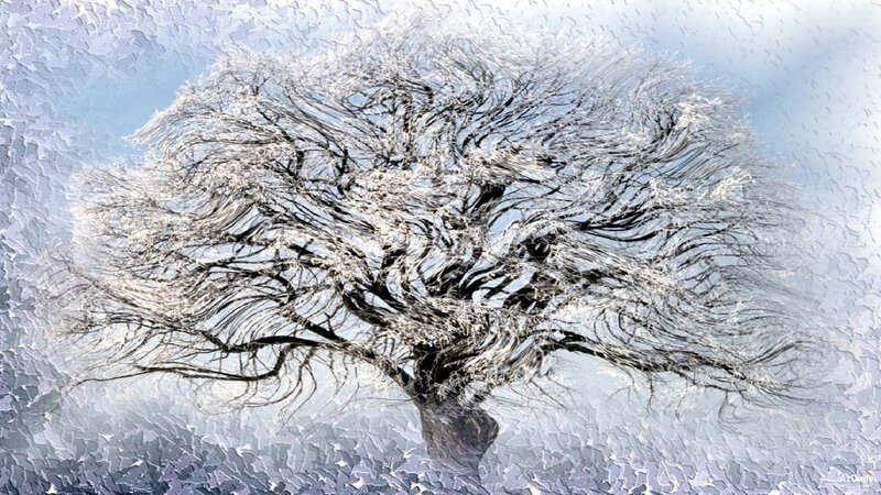 Frost-covered Tree — White, Dramatic, Winter, Digital Art