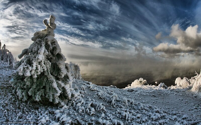 Frost-covered Tree — White, Dramatic, Winter, Photograph, Snow, Clouds