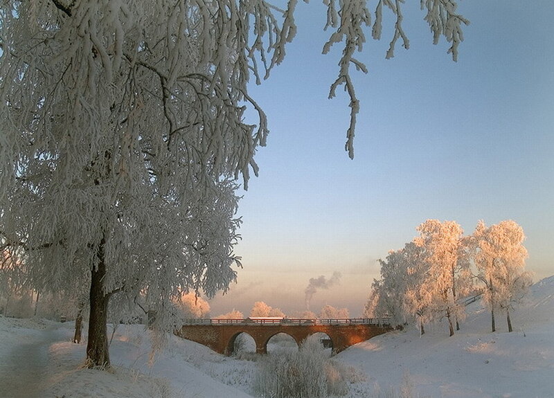 Frost-covered Trees and Bridge
