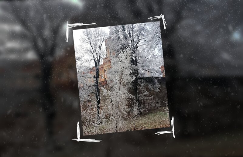 Frost-covered Trees and Castle