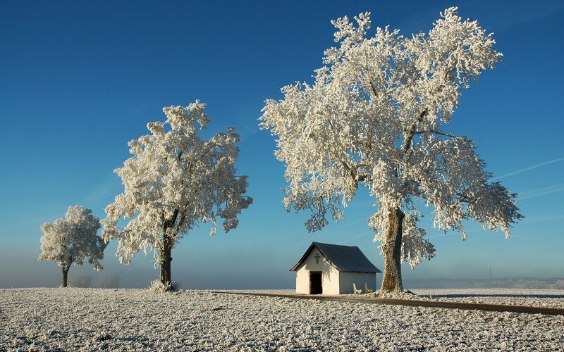 Frost-covered trees and chapel