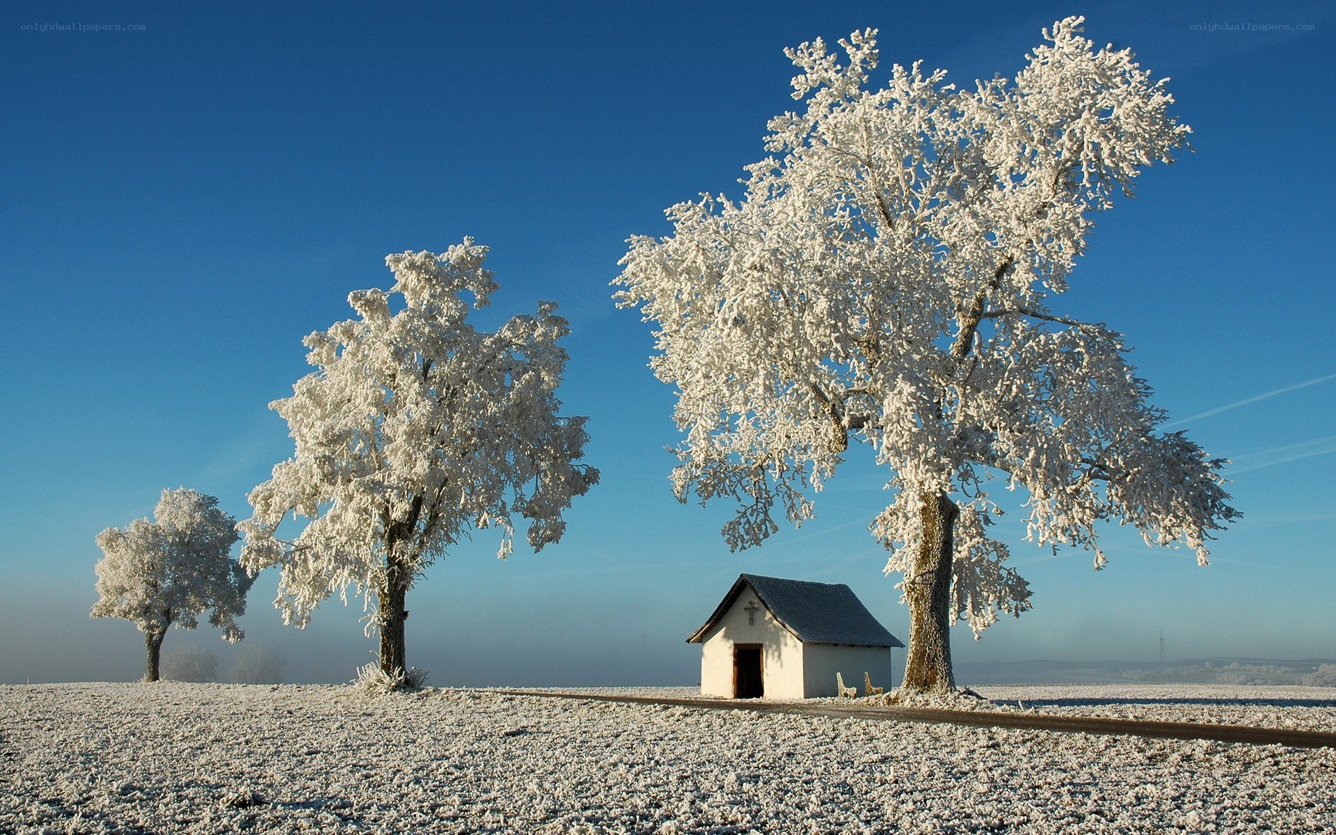Frost-covered trees and chapel