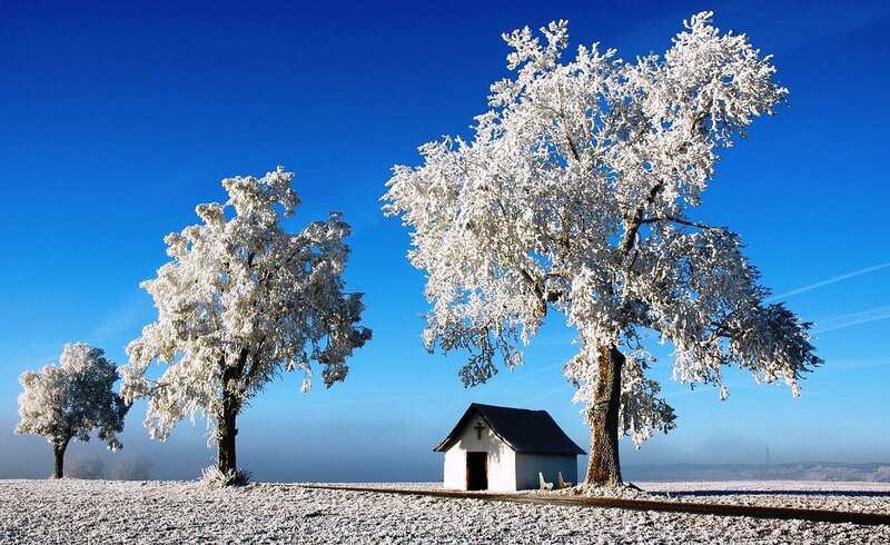Frost-covered Trees and Chapel — Blue