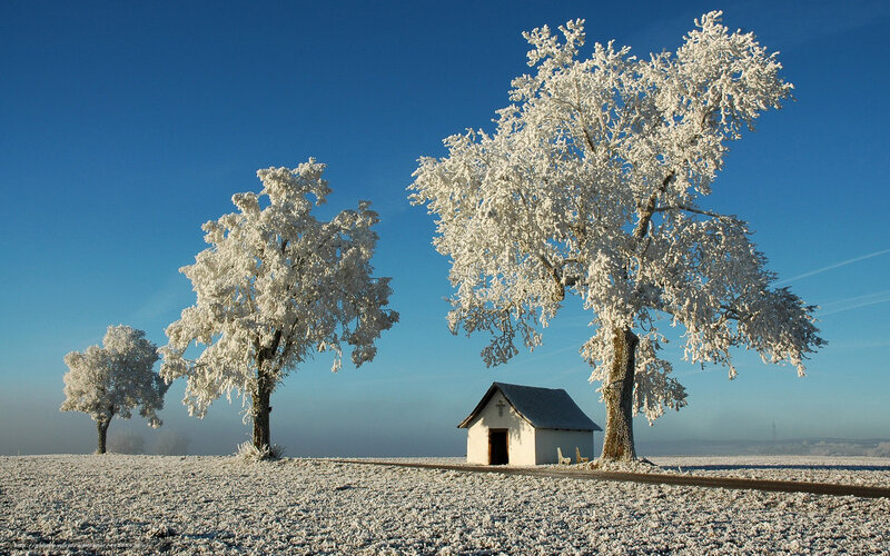 Frost-covered trees and chapel