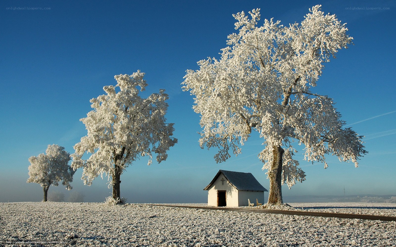Frost-covered trees and chapel
