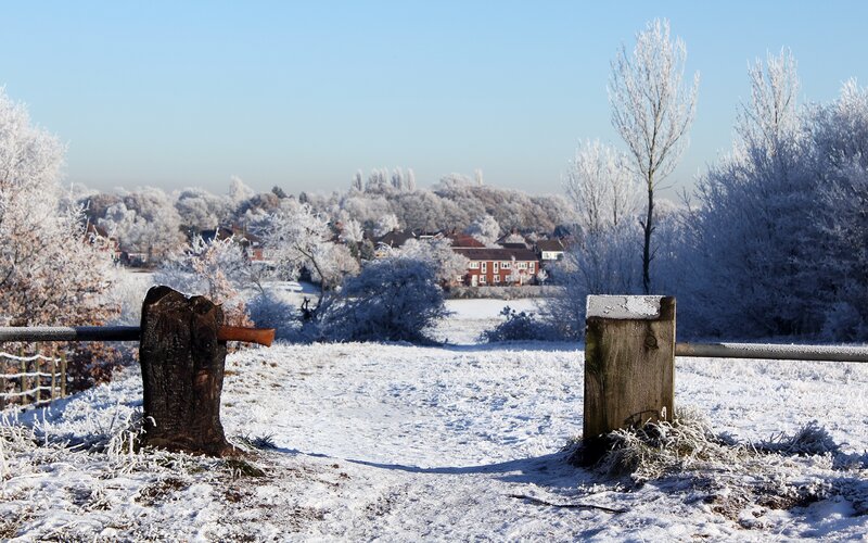 Frost-covered Trees and Houses