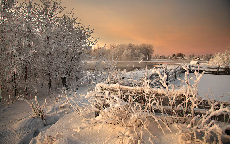 Frost-covered Trees and River