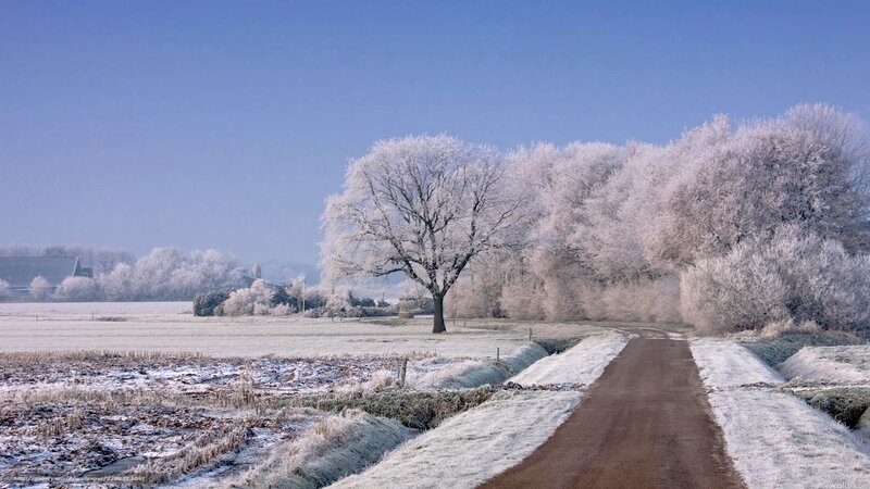 Frost-covered Trees and Road — Blue