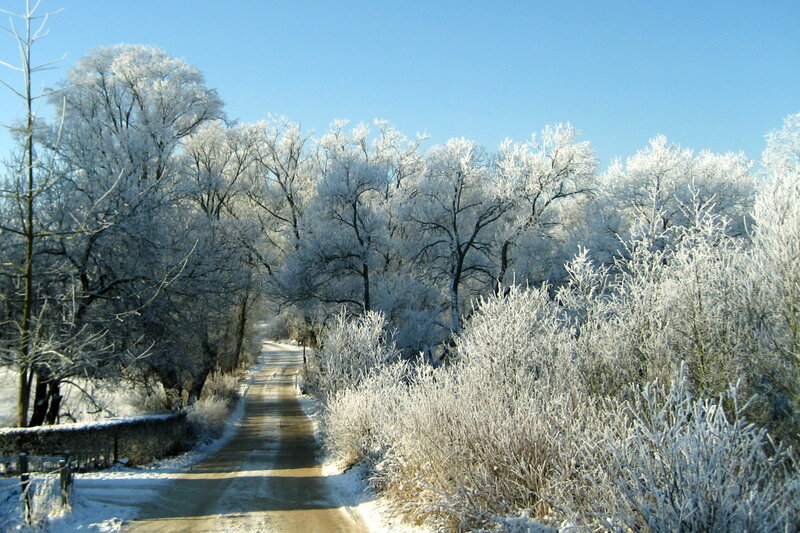 Frost-covered Trees and Road
