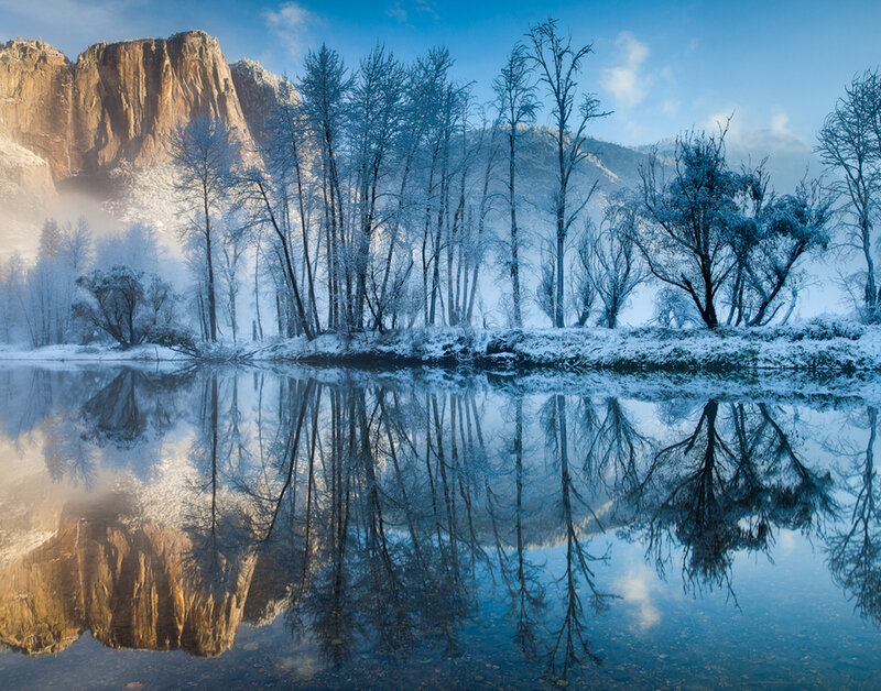 Frost-covered Trees and Rock