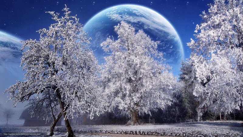 Frost-covered Trees at Night — Blue, Serene, Digital Art, Planet