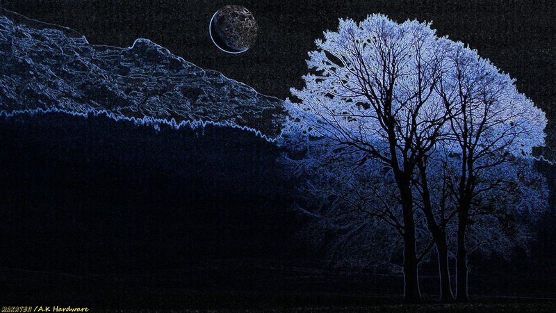 Frost-covered Trees at Night — Blue, Serene, Digital Art