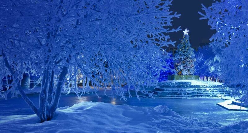 Frost-covered Trees at Night — Blue