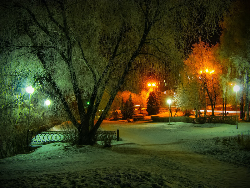 Frost-covered Trees at Night — Green