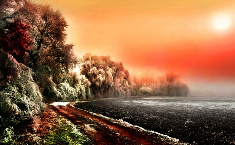 Frost-covered Trees at Sunrise — Orange, Dramatic