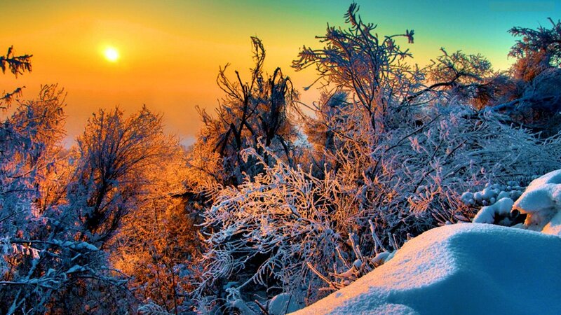 Frost-covered Trees at Sunrise — Orange, Serene, Winter, Photograph, Sun