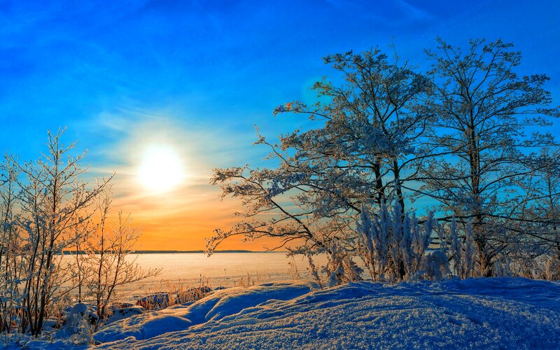 Frost-covered Trees at Sunset — Blue, Serene, Photograph