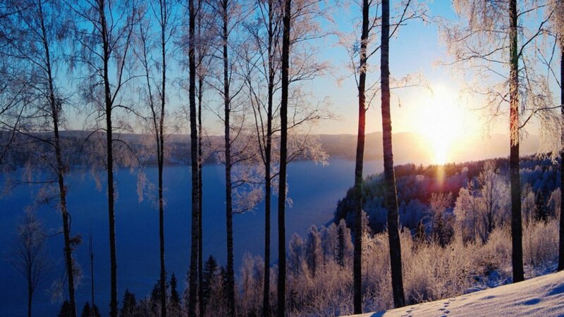 Frost-covered Trees at Sunset