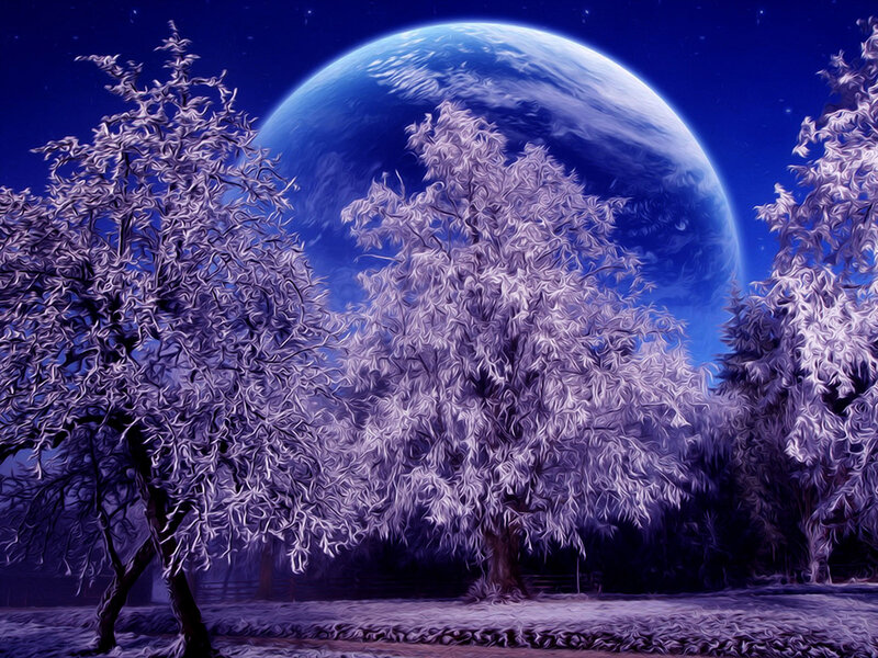 Frost-covered Trees — Blue, Serene, Night, Digital Art, Moon