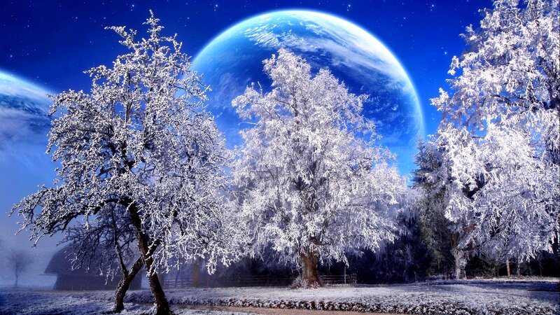 Frost-covered Trees — Blue, Serene, Night, Digital Art, Planet