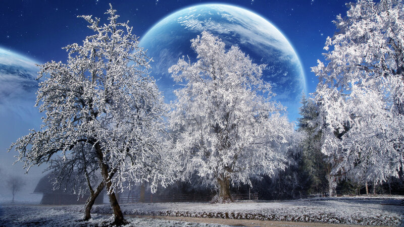 Frost-covered Trees — Blue, Serene, Night, Digital Art