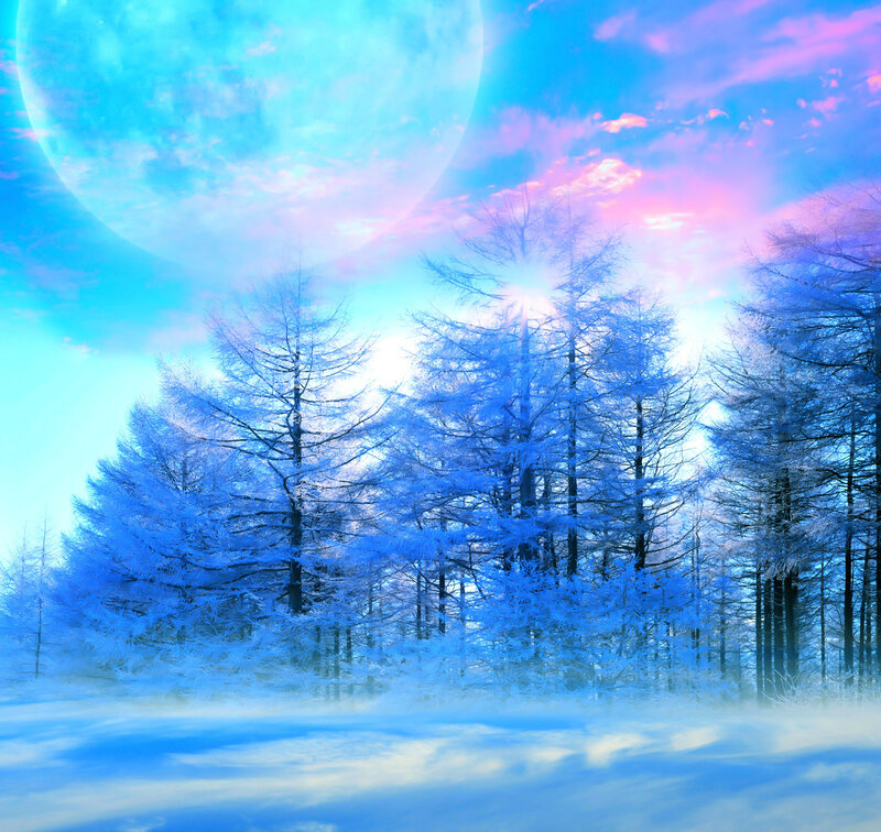 Frost-covered Trees — Blue, Serene, Winter, Digital Art, Moon