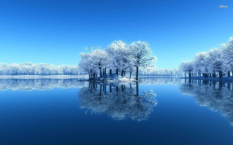 Frost-covered Trees — Blue, Serene, Winter, Digital Art