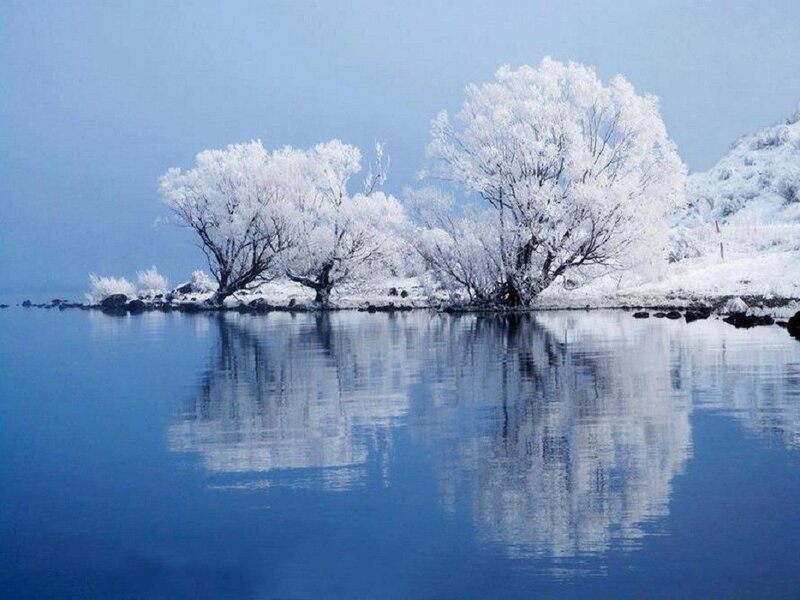 Frost-covered Trees — Blue, Serene, Winter, Photograph, Lake, Reflection, Snow