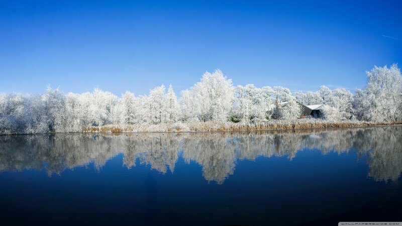 Frost-covered Trees — Blue, Serene, Winter, Photograph, Lake