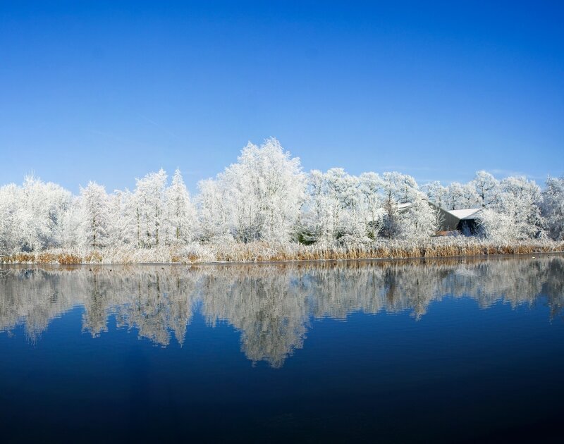 Frost-covered Trees — Blue, Serene, Winter, Photograph, River, Building
