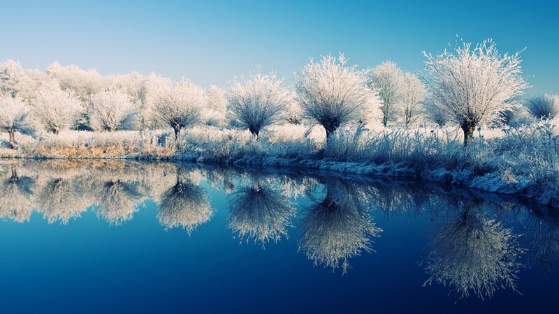 Frost-covered Trees — Blue, Serene, Winter, Photograph, River, Sky, Grass