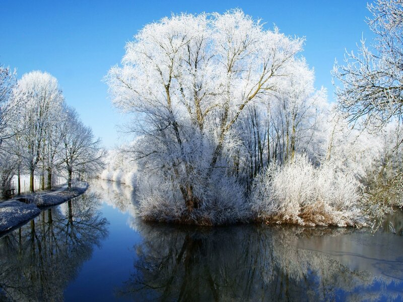 Frost-covered Trees — Blue, Serene, Winter, Photograph, River, Sky, Reflection