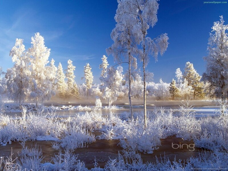Frost-covered Trees — Blue, Serene, Winter, Photograph, River, Sky, Snow