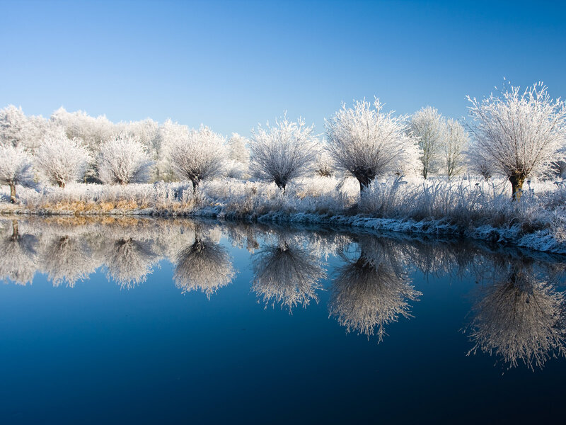 Frost-covered Trees — Blue, Serene, Winter, Photograph, River, Sky